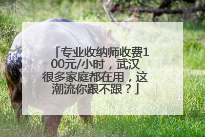 专业收纳师收费100元/小时，武汉很多家庭都在用，这潮流你跟不跟？