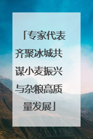 专家代表齐聚冰城共谋小麦振兴与杂粮高质量发展