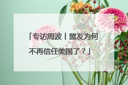专访周波丨盟友为何不再信任美国了？