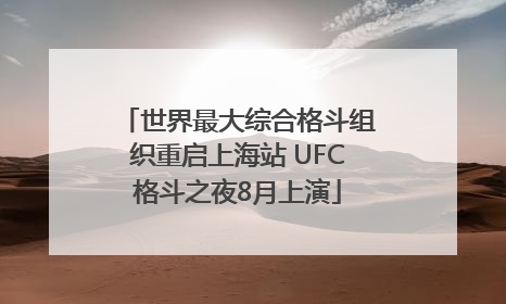 世界最大综合格斗组织重启上海站 UFC格斗之夜8月上演