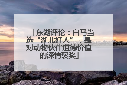 东湖评论：白马当选“湖北好人”，是对动物伙伴道德价值的深情褒奖