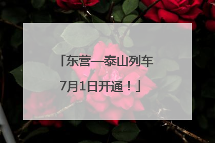东营—泰山列车7月1日开通！