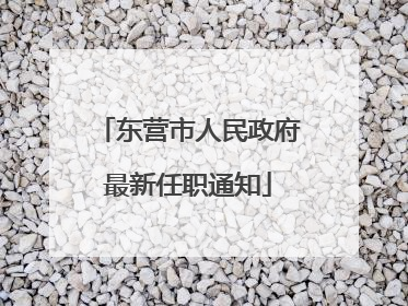 东营市人民政府最新任职通知