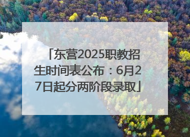 东营2025职教招生时间表公布：6月27日起分两阶段录取