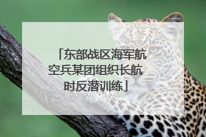 东部战区海军航空兵某团组织长航时反潜训练
