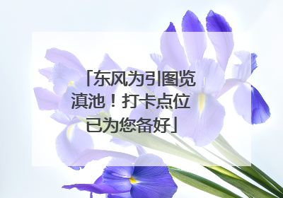 东风为引图览滇池！打卡点位已为您备好