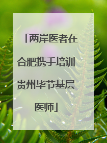两岸医者在合肥携手培训贵州毕节基层医师