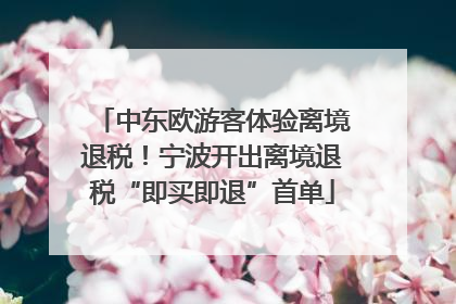 中东欧游客体验离境退税！宁波开出离境退税“即买即退”首单