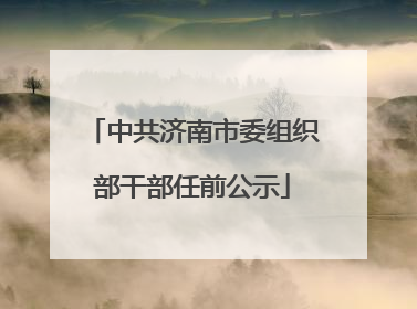 中共济南市委组织部干部任前公示