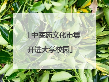 中医药文化市集开进大学校园