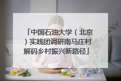 中国石油大学（北京）实践团调研南马庄村解码乡村振兴新路径
