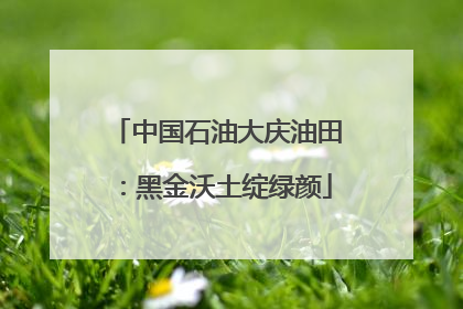中国石油大庆油田：黑金沃土绽绿颜