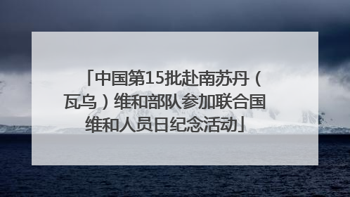 中国第15批赴南苏丹（瓦乌）维和部队参加联合国维和人员日纪念活动