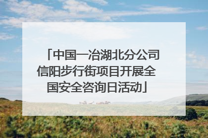 中国一冶湖北分公司信阳步行街项目开展全国安全咨询日活动