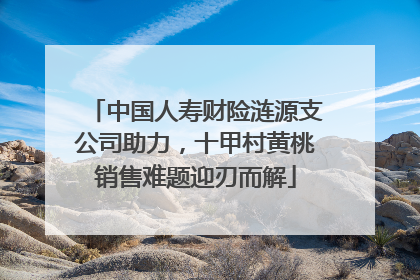 中国人寿财险涟源支公司助力，十甲村黄桃销售难题迎刃而解