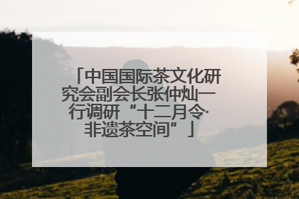 中国国际茶文化研究会副会长张仲灿一行调研“十二月令·非遗茶空间”