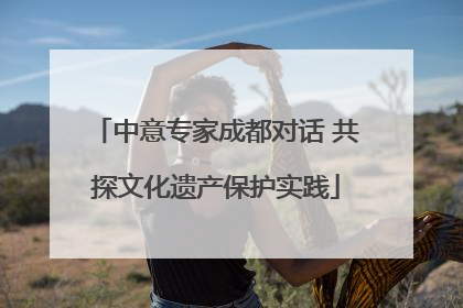 中意专家成都对话 共探文化遗产保护实践
