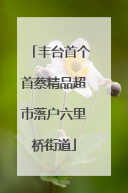 丰台首个首蔡精品超市落户六里桥街道