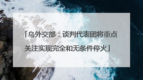 乌外交部：谈判代表团将重点关注实现完全和无条件停火