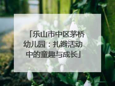 乐山市中区茅桥幼儿园：扎辫活动中的童趣与成长