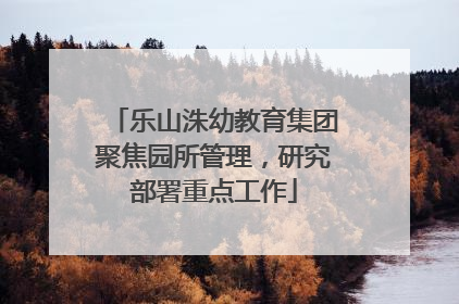 乐山洙幼教育集团聚焦园所管理，研究部署重点工作