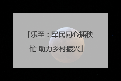 乐至：军民同心插秧忙 助力乡村振兴