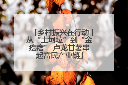 乡村振兴在行动丨从“土坷垃”到“金疙瘩” 卢龙甘薯串起富民产业链