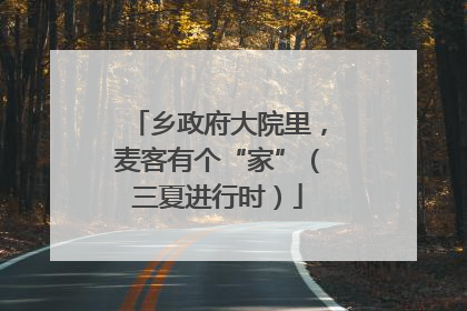 乡政府大院里，麦客有个“家”（三夏进行时）