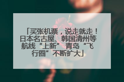 买张机票，说走就走！日本名古屋、韩国清州等航线“上新” 青岛“飞行圈”不断扩大