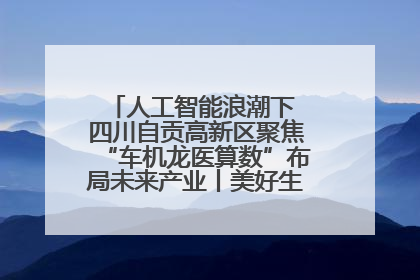 人工智能浪潮下 四川自贡高新区聚焦“车机龙医算数”布局未来产业丨美好生活有“盐”味