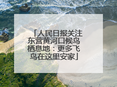 人民日报关注东营黄河口候鸟栖息地：更多飞鸟在这里安家