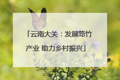 云南大关：发展筇竹产业 助力乡村振兴