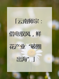 云南师宗：借电驭风，鲜花产业“破圈出海”