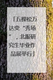 五棵松万达变“秀场”，北服研究生毕业作品展举行