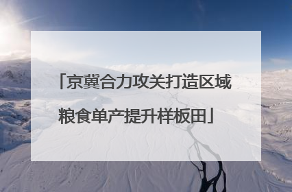 京冀合力攻关打造区域粮食单产提升样板田