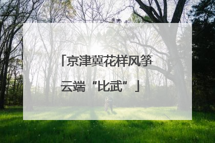 京津冀花样风筝云端“比武”