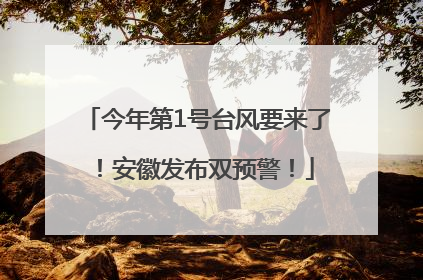 今年第1号台风要来了！安徽发布双预警！
