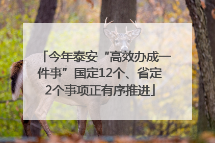 今年泰安“高效办成一件事”国定12个、省定2个事项正有序推进