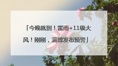 今晚就到！雷雨+11级大风！刚刚，淄博发布预警