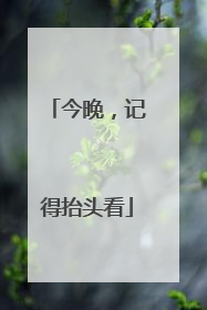 今晚，记得抬头看