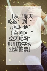 从“靠天吃饭”到“云端种地”！莱芜区“空天地网”织出数字农业新图景