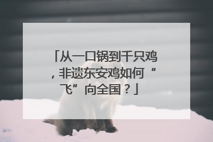 从一口锅到千只鸡，非遗东安鸡如何“飞”向全国？