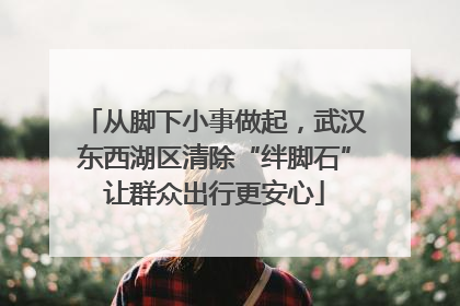 从脚下小事做起，武汉东西湖区清除“绊脚石”让群众出行更安心