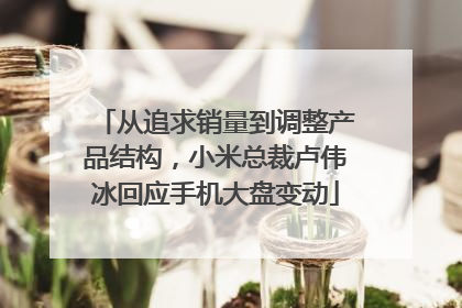 从追求销量到调整产品结构，小米总裁卢伟冰回应手机大盘变动