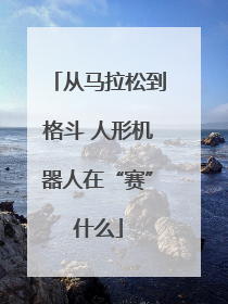 从马拉松到格斗 人形机器人在“赛”什么