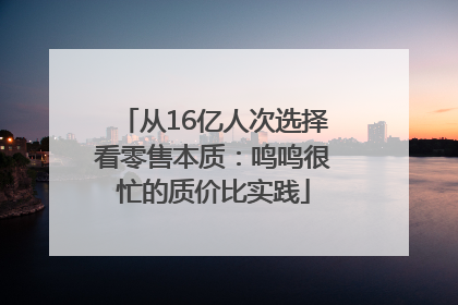 从16亿人次选择看零售本质：鸣鸣很忙的质价比实践