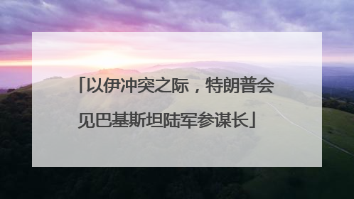 以伊冲突之际，特朗普会见巴基斯坦陆军参谋长