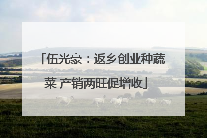 伍光豪：返乡创业种蔬菜 产销两旺促增收