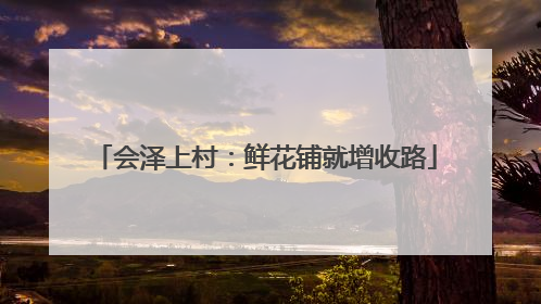 会泽上村：鲜花铺就增收路