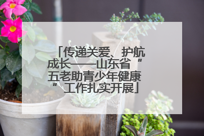 传递关爱、护航成长——山东省“五老助青少年健康”工作扎实开展